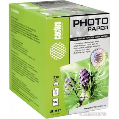 Фотобумага CACTUS Глянцевая A6 230 г/кв.м. 500 листов (CS-GA6230500)