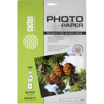Фотобумага CACTUS Глянцевая магнитная A4 690 г/кв.м. 2 листа (CS-MGA46902)