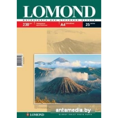 Фотобумага Lomond Глянцевая А4 230 г/кв.м. 25 листов (0102049)