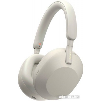 Наушники Sony WH-1000XM5 (серый)