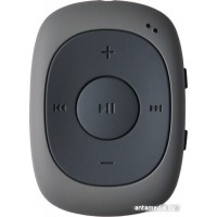 MP3 плеер Digma C2LG (серый) [367272]