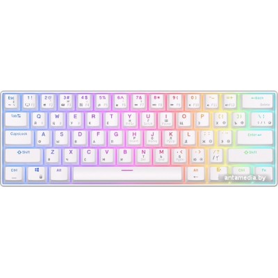 Клавиатура Royal Kludge RK61 RGB (белый, RK Red)