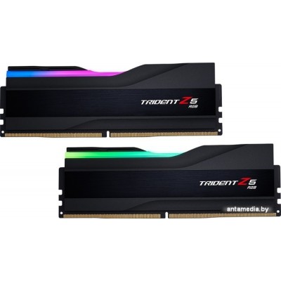 Оперативная память G.Skill Trident Z5 RGB 2x32ГБ DDR5 6800МГц F5-6800J3445G32GX2-TZ5RK