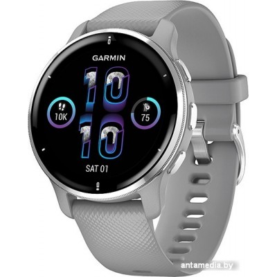 Умные часы Garmin Venu 2 Plus (серебристый/серый)