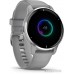 Умные часы Garmin Venu 2 Plus (серебристый/серый)