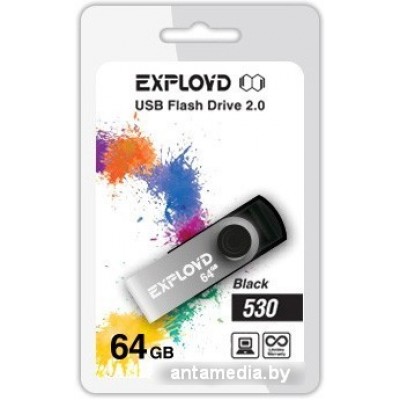 USB Flash Exployd 530 64GB (черный) [EX064GB530-B]