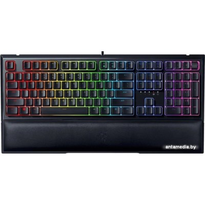 Клавиатура Razer Ornata V2