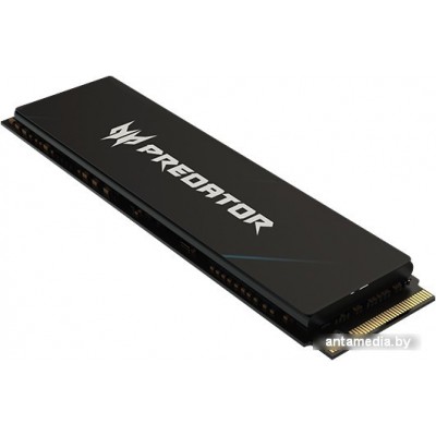 SSD Acer Predator GM7000 1TB BL.9BWWR.105