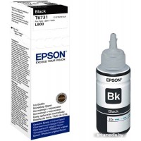 Чернила Epson C13T673198