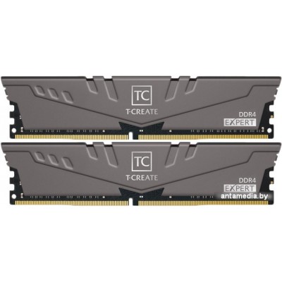 Оперативная память Team T-Create Expert OC10L 2x8ГБ DDR4 3200МГц TTCED416G3200HC16FDC01