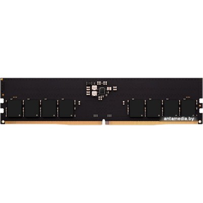 Оперативная память AMD Radeon R5 Entertainment Series 16ГБ DDR5 4800 МГц R5516G4800U1S-U