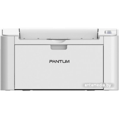 Принтер Pantum P2200