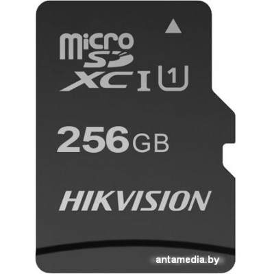 Карта памяти Hikvision microSDXC HS-TF-C1(STD)/256G/Adapter 256GB (с адаптером)