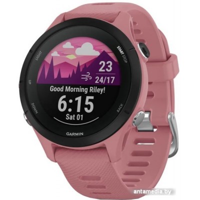 Умные часы Garmin Forerunner 255S 41 мм (пыльная роза/черный)