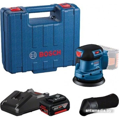 Эксцентриковая шлифмашина Bosch GEX 185-LI Professional 06013A5021 (с 1-м АКБ, кейс)