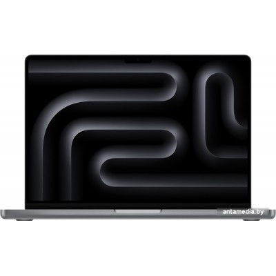 Ноутбук Apple Macbook Pro 14.2" M3 2023 MTL83