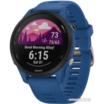 Умные часы Garmin Forerunner 255 46 мм (темно-синий/черный)