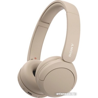 Наушники Sony WH-CH520 (бежевый)