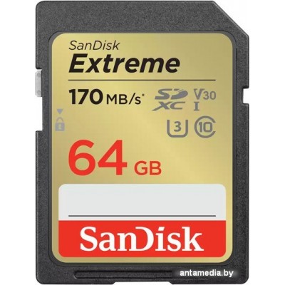 Карта памяти SanDisk Extreme SDXC SDSDXV2-064G-GNCIN 64GB