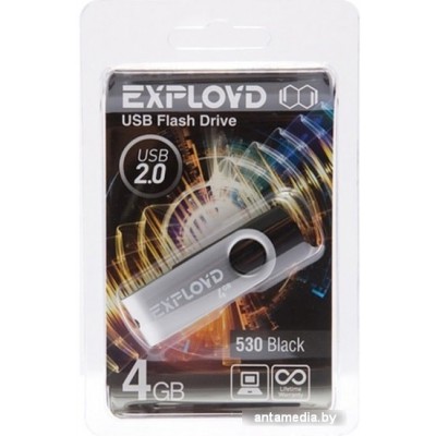 USB Flash Exployd 530 4GB (черный)