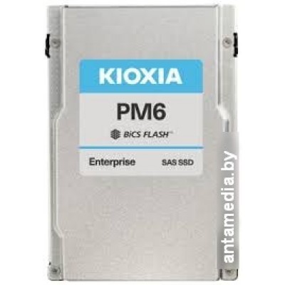 SSD Kioxia PM6-M 3.84TB KPM61RUG3T84