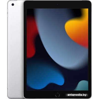 Планшет Apple iPad 10.2" 2021 64GB 5G MK493 (серебристый)