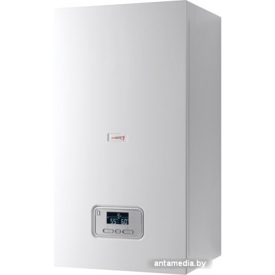 Отопительный котел Protherm Ray (Скат) 9 KE /14 0010023647