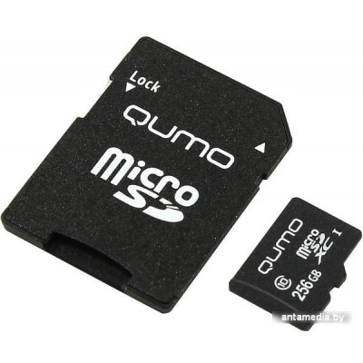 Карта памяти QUMO microSDXC QM256GMICSDXC10U3 256GB