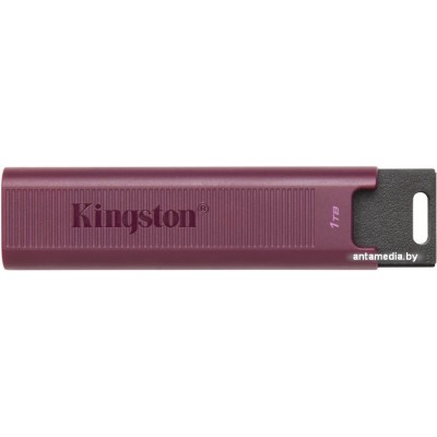 USB Flash Kingston DataTraveler Max Type-A 1TB