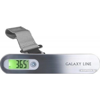 Кухонные весы Galaxy Line GL2833