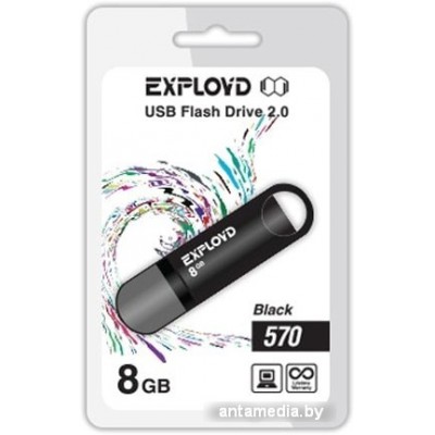 USB Flash Exployd 570 8GB (черный)