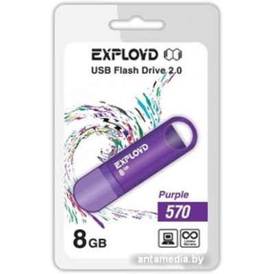 USB Flash Exployd 570 8GB (фиолетовый)