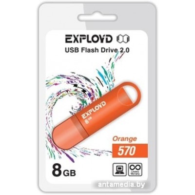 USB Flash Exployd 570 8GB (оранжевый)
