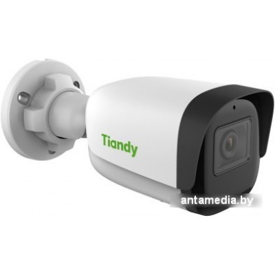 IP-камера Tiandy TC-C38WS I5/E/Y/M/2.8mm/V4.0