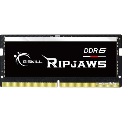 Оперативная память G.Skill Ripjaws 16ГБ DDR5 SODIMM 5600МГц F5-5600S4645A16GX1-RS