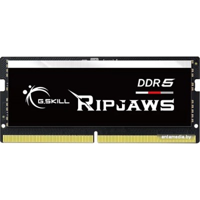 Оперативная память G.Skill Ripjaws 32ГБ DDR5 SODIMM 4800МГц F5-4800S3838A32GX1-RS