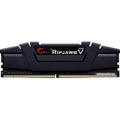 Оперативная память G.Skill Ripjaws V 32GB DDR4 PC4-25600 F4-3200C16S-32GVK