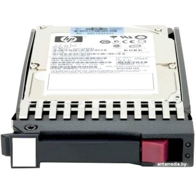 Жесткий диск HP 785099-B21 300GB