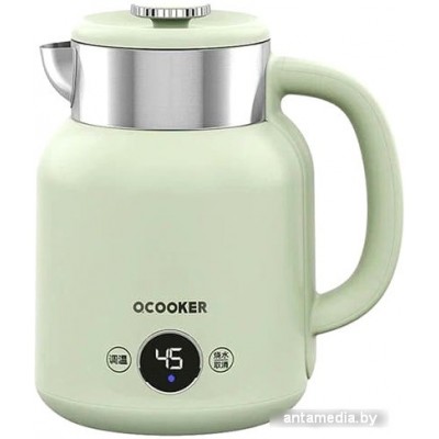 Электрический чайник Qcooker CR-SH1501 (китайская версия, зеленый)