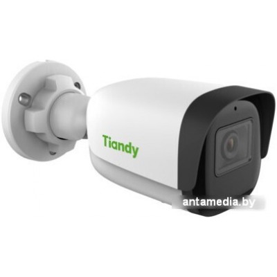 IP-камера Tiandy TC-C32WN I5/E/Y/4mm/V4.1