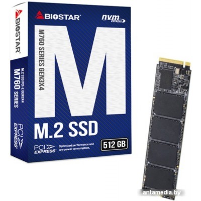 SSD BIOSTAR M760 512GB M760­-512GB