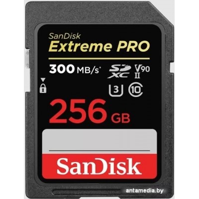 Карта памяти SanDisk Extreme PRO SDXC SDSDXDK-256G-GN4IN 256GB