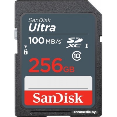 Карта памяти SanDisk Ultra SDXC SDSDUNR-256G-GN3IN 256GB