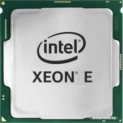 Процессор Intel Xeon E-2378