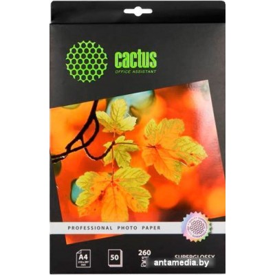 Фотобумага CACTUS Суперглянцевая А4 260 г/м2 50 листов (CS-HGA426050)