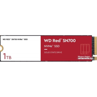 SSD WD Red SN700 1TB WDS100T1R0C