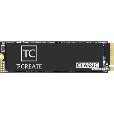 SSD Team T-Create Classic C47 1TB TM8FFC001T0C129