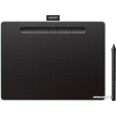 Графический планшет Wacom Intuos CTL-6100WL (фисташковый зеленый, средний размер)