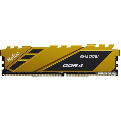 Оперативная память Netac Shadow 8ГБ DDR4 2666 МГц NTSDD4P26SP-08Y