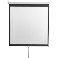 Проекционный экран Digis Optimal-D 248x249 DSOD-1107